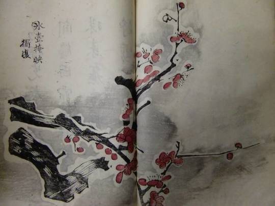 唐本・漢籍 - 京都・滋賀で古本・古書の出張買取なら寒梅堂